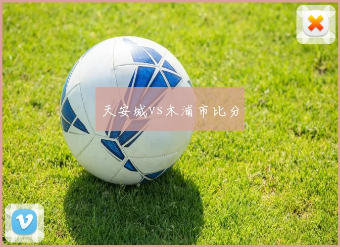天安城vs木浦市比分